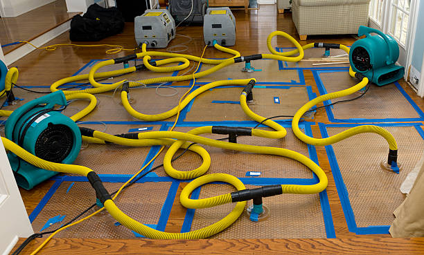 Professional Water Damage Restoration technician working in Frost, MN